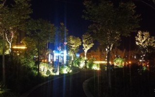 你是否想过 家不只是遮风挡雨的地方 更是情绪的容器与生活的舞台